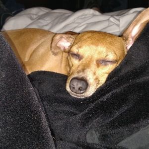 Meet your Posher, Angela